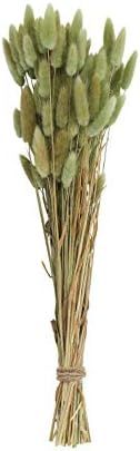 Creative Co-Op Bunny Tail Grass Bouquet, Green | Amazon (US)