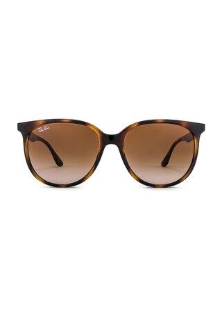 Ray-Ban Classic in Havana & Gradient Brown from Revolve.com | Revolve Clothing (Global)