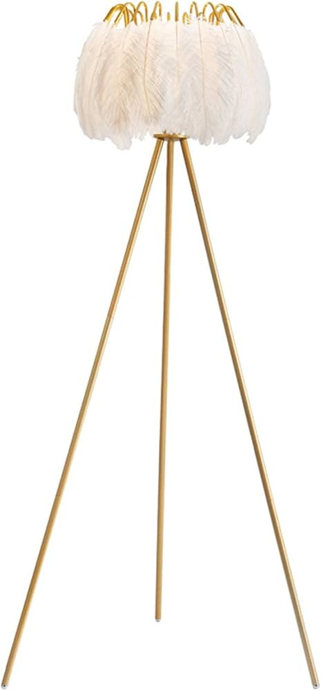 Dellemade White Feather Lamp, Elegant Floor Lamp for Bedroom, Living Room (Gold) | Amazon (US)
