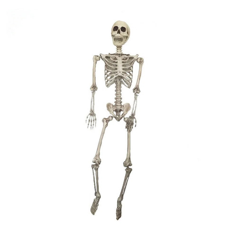 Halloween Poseable Human Skeleton Props Party Decor | Wayfair North America