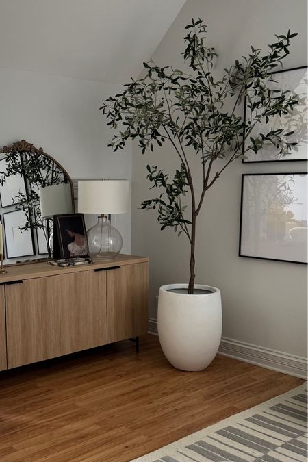 My favorite designer inspired planter, faux olive tree and new sideboard! 



#LTKSaleAlert #LTKHome