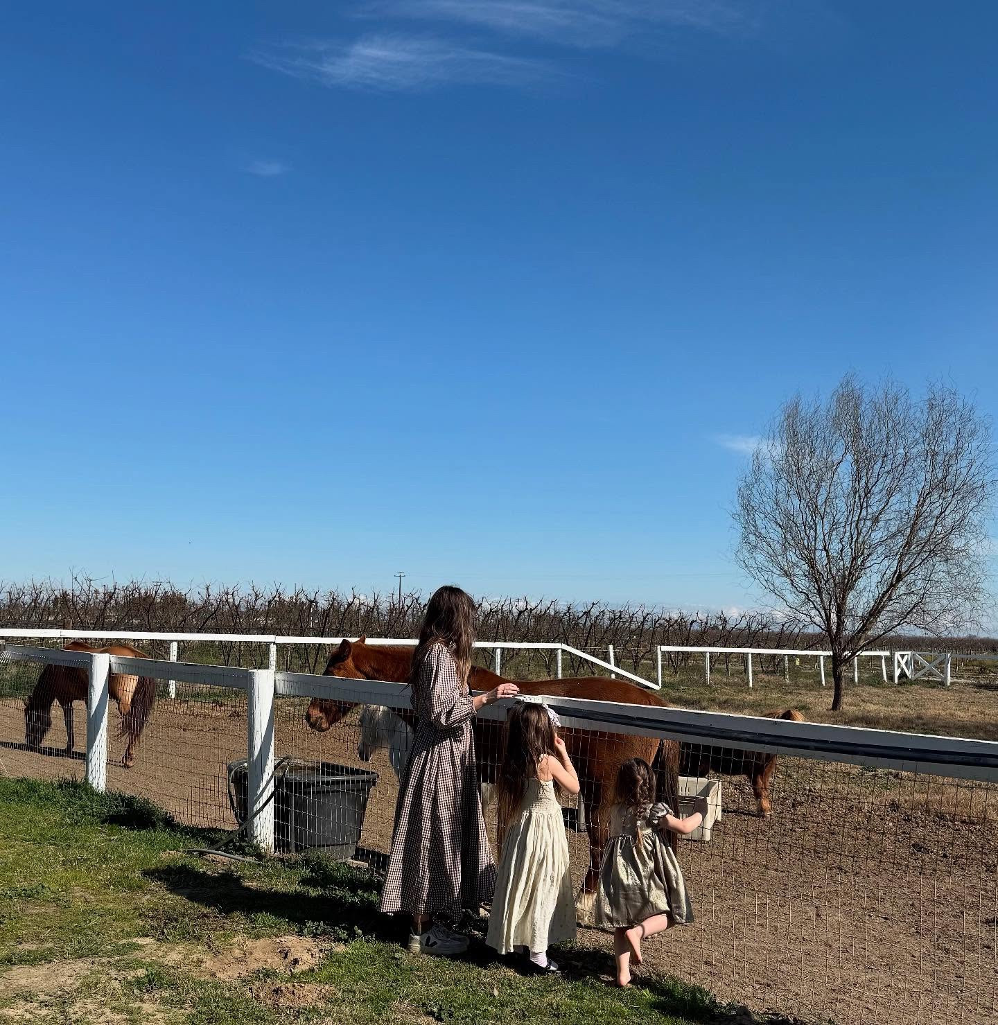 the girls & their favorite “trusty rusty” on a Sunday afternoon