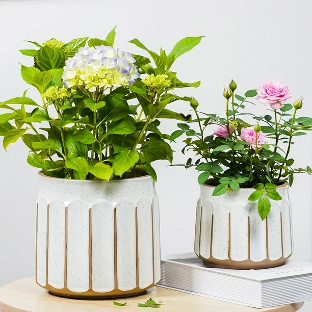 Better Homes & Gardens Pottery 6" Savona Round Ceramic Planter, White | Walmart (US)