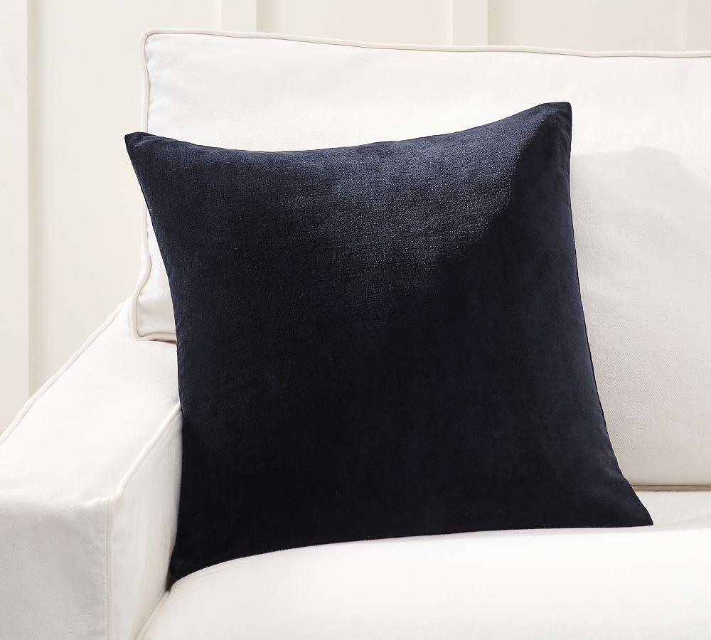 Everywhere Velvet Pillow | Pottery Barn (US)