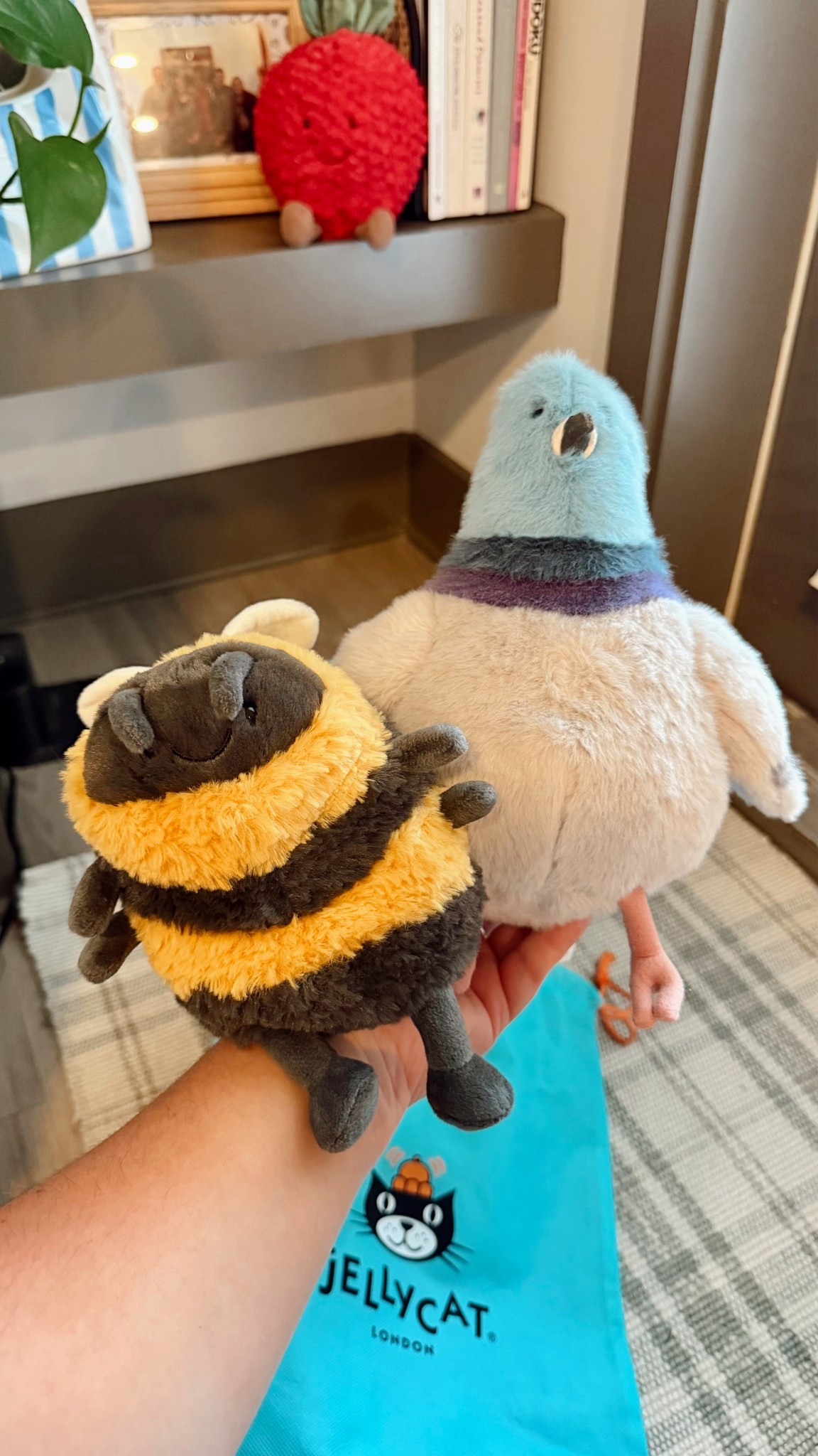 everyone say hello to my new jellycats😌♥️

#LTKBaby #LTKHome #LTKdayinmylife