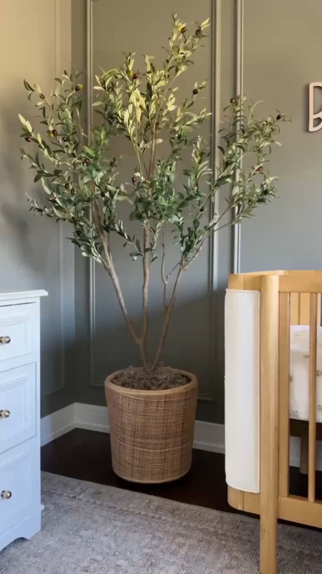 This affordable 6ft faux olive tree is on sale for the Big Spring Amazon sale! 15% off right now and under $77! It comes in a beautiful white pot allowing you to style as is, or add it to existing planters! 

#LTKSaleAlert #LTKHome
