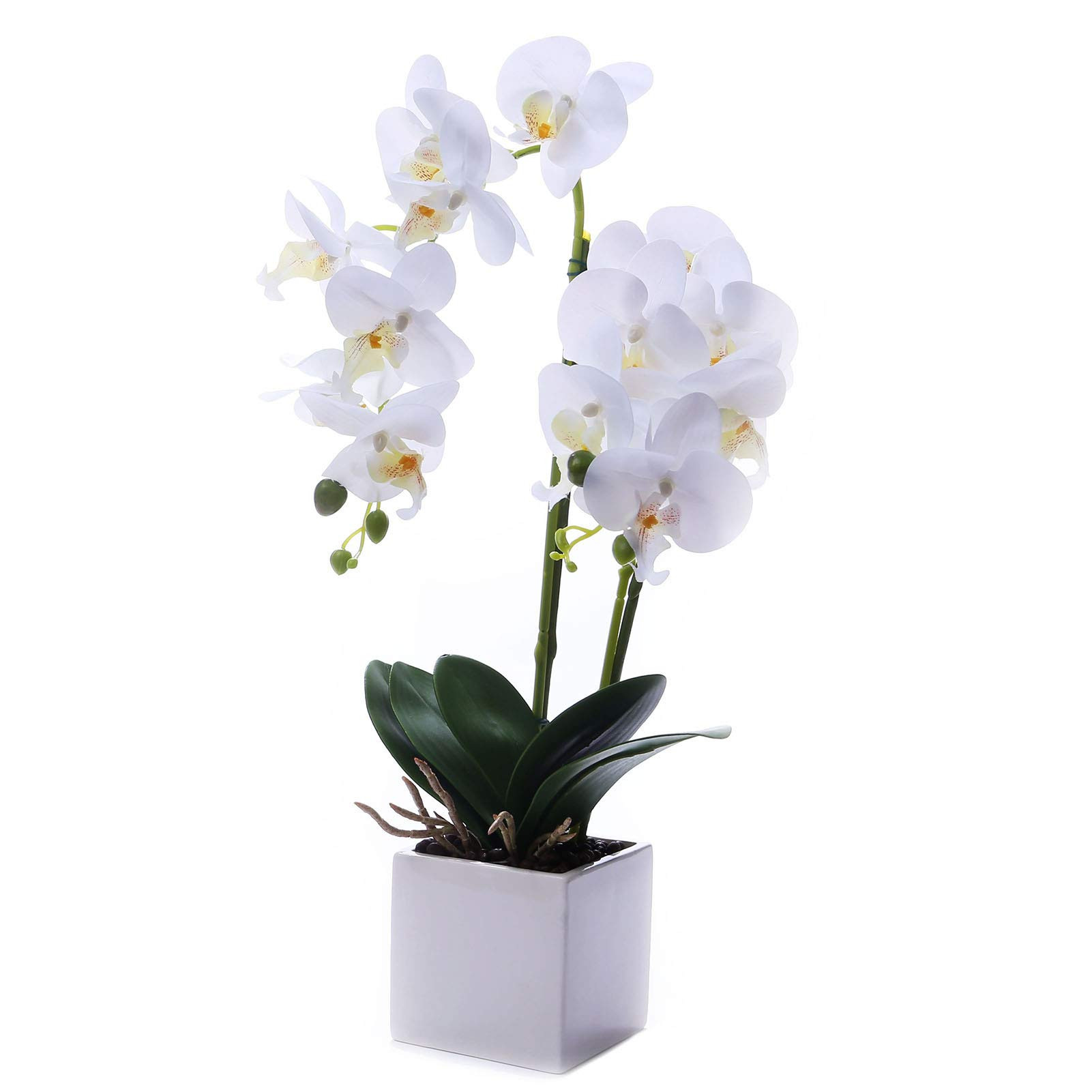Artificial Orchids Flowers with Vase for Table Centerpieces, Faux Orchid Orquideas Fake Real Touc... | Amazon (US)