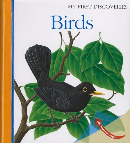 Birds (15) (My First Discoveries)      Spiral-bound – October 1, 2012 | Amazon (US)