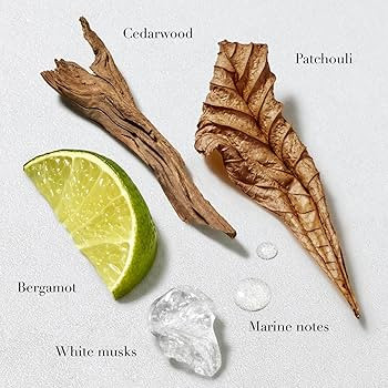 Armani Beauty - Acqua di Gio - After Shave - Cologne for Men - Long Lasting Fragrance with Bergam... | Amazon (US)