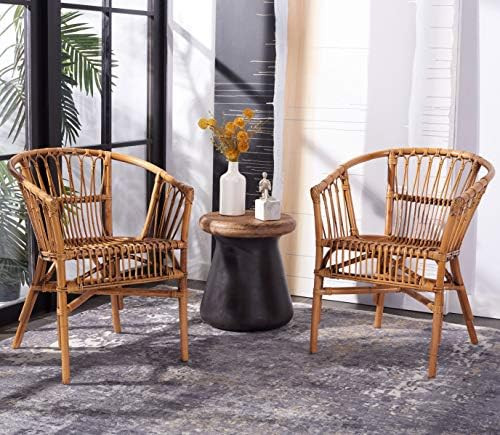 Safavieh Home Adriana Coastal Honey Brown Wash Rattan (Set of 2) Accent Chair | Amazon (US)