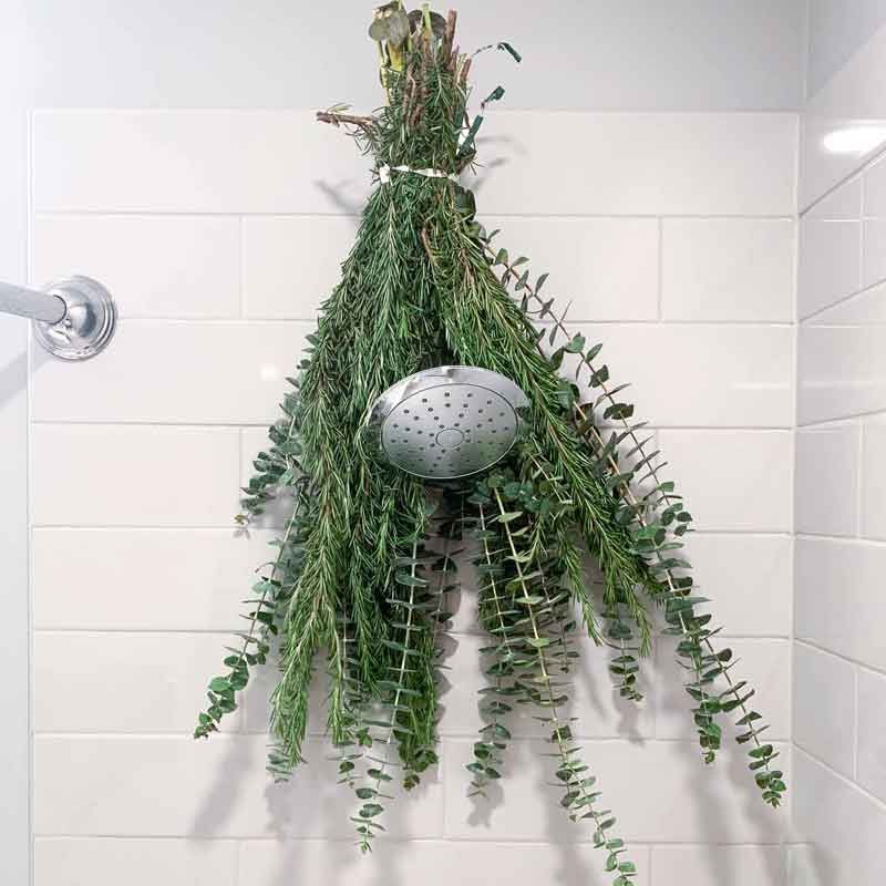 Rosemary & Eucalyptus Bundle | Fresh Rosemary | Relaxing Pair | Self-Care Shower