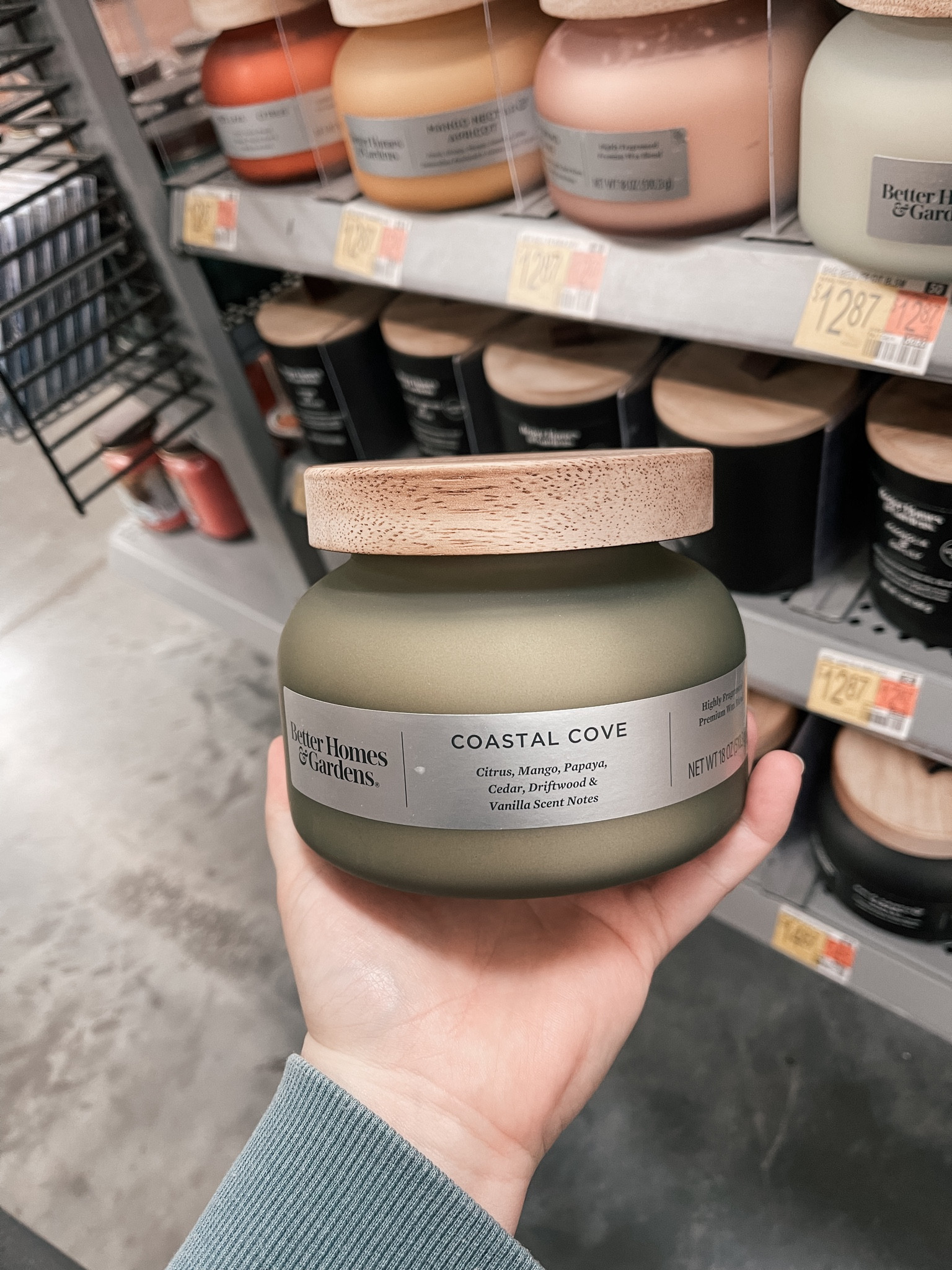 My new favorite candle! It’s really making me want to pack up and move to the coast 🌊 

It’s warm and welcoming, not too strong, and the perfect summer candle!

best smelling candles / home decor finds / brittneyablog

#LTKfamily #LTKhome