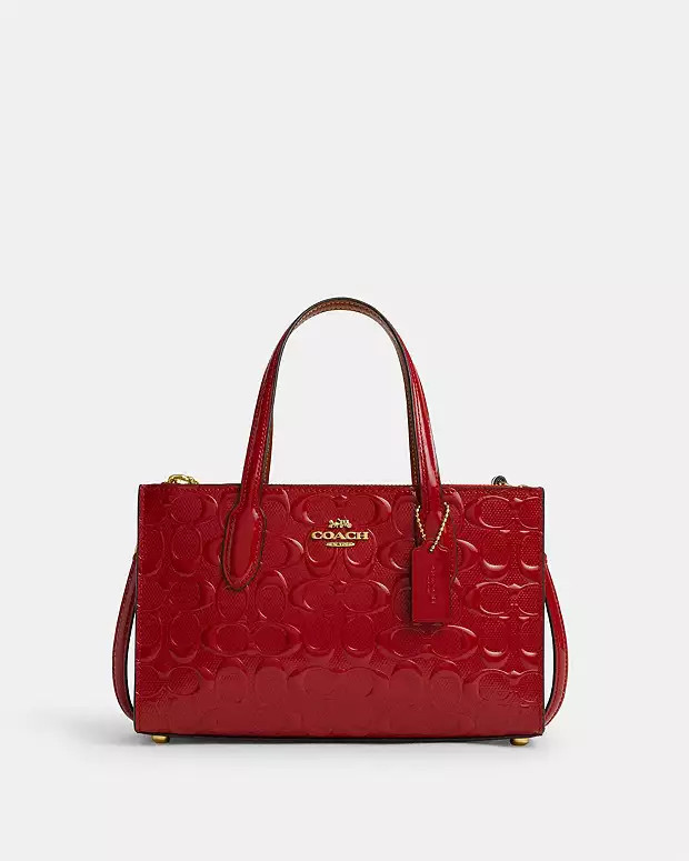 Nina Small Tote Bag In Signature Leather | Coach Outlet CA