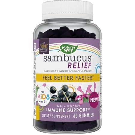 Nature's Way Sambucus Elderberry Gummies with Vitamin C and Zinc for Kids, Immune Support*, Berry Fl | Amazon (US)