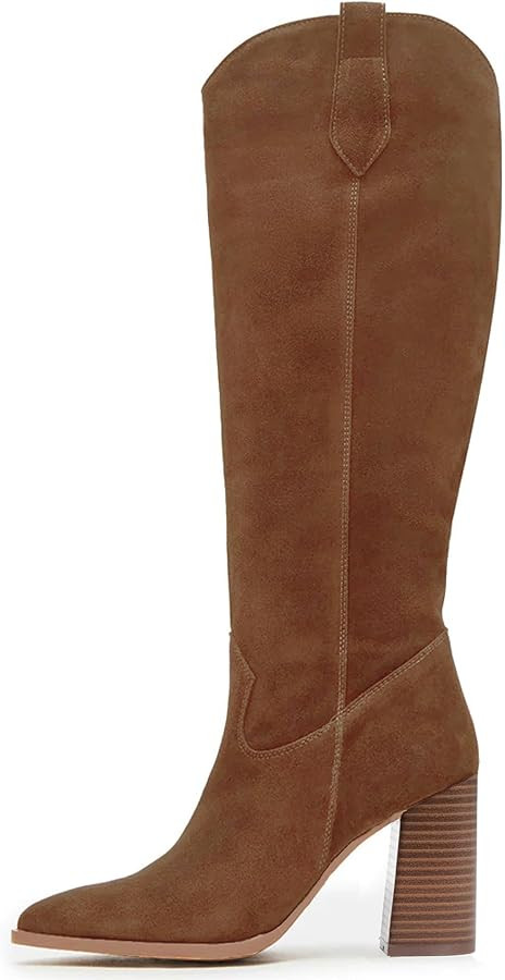 MeiLuSi Knee High Suede Boots Fall Boots for Women 2025 Pointed Toe Fall Shoes Chunky High Heel T... | Amazon (US)