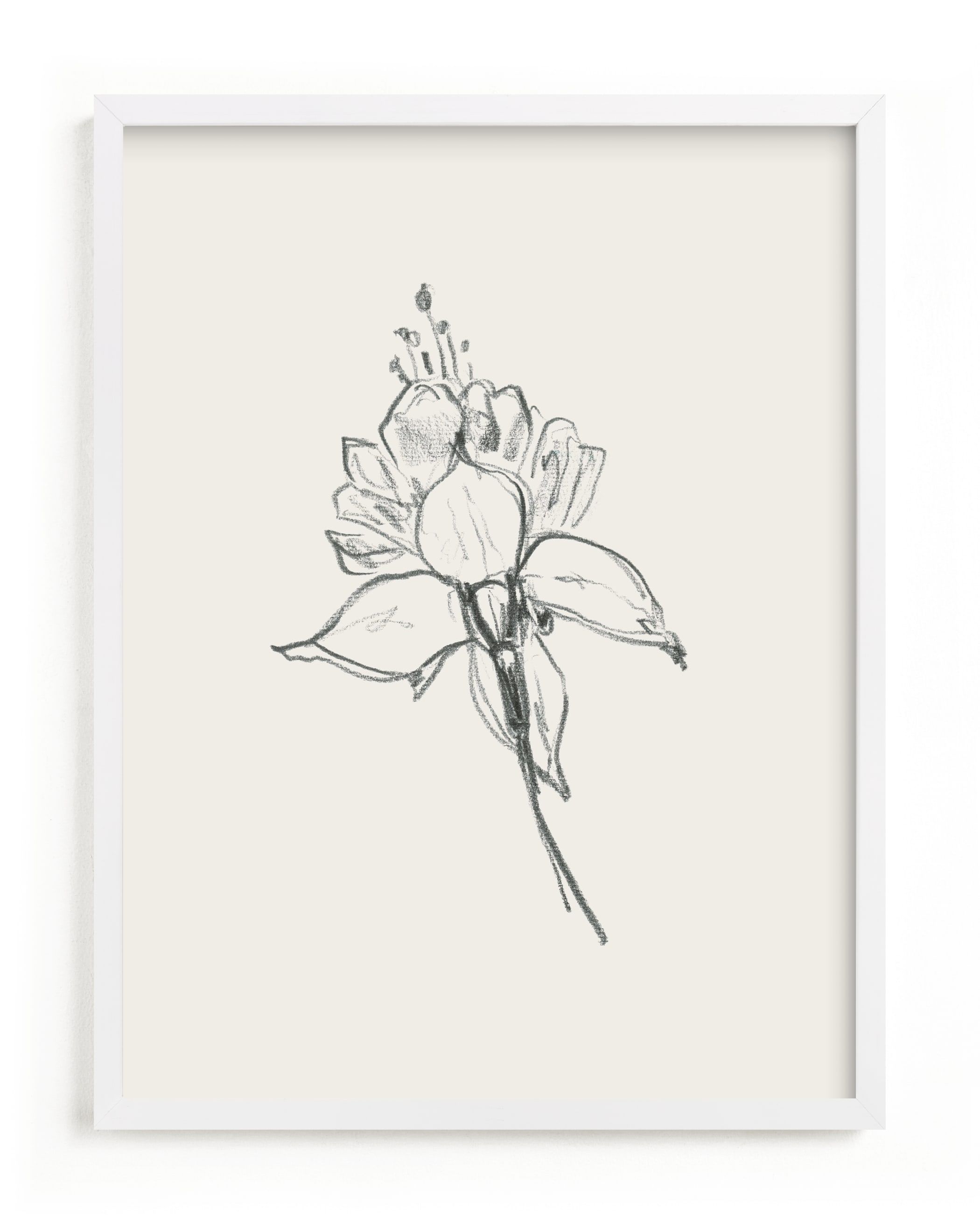 "Fuchsia 2 of 2 Diptych" - Drawing Limited Edition Art Print by Miranda Mol. | Minted