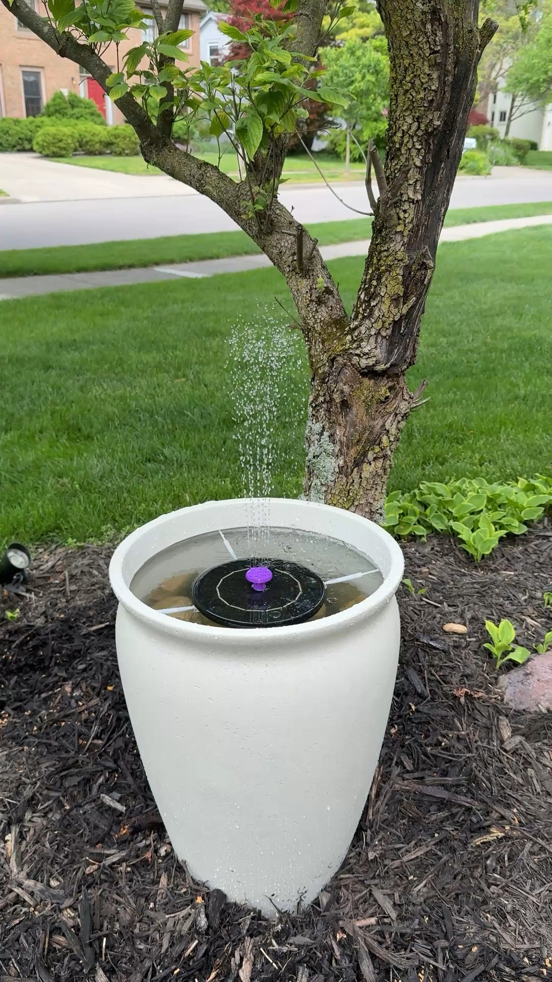 You too can make your own solar fountain!!! No batteries needed!

#LTKSeasonal #LTKHome #LTKdayinmylife