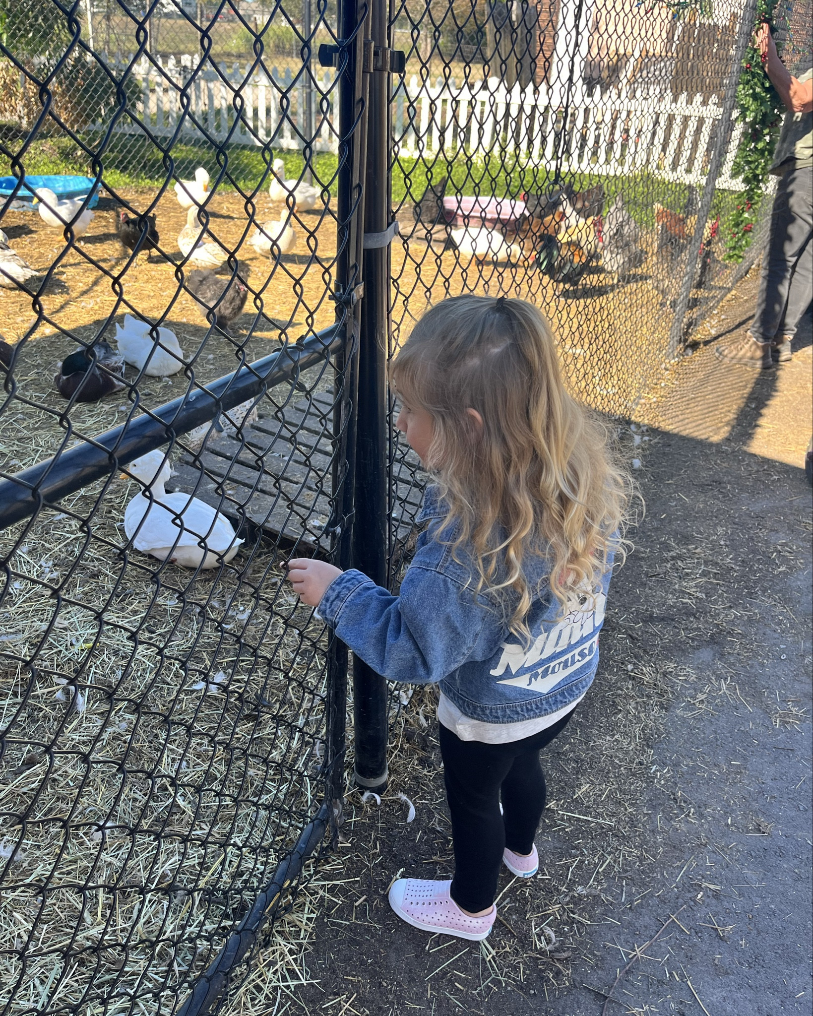 The cutest Jean jacket for your little 

#LTKSeasonal #LTKKids #LTKFamily