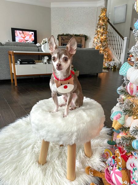 The cutest reindeer bib!

Dog bandana, dog clothes, Christmas outfit 

#LTKHoliday #LTKSeasonal #LTKfamily