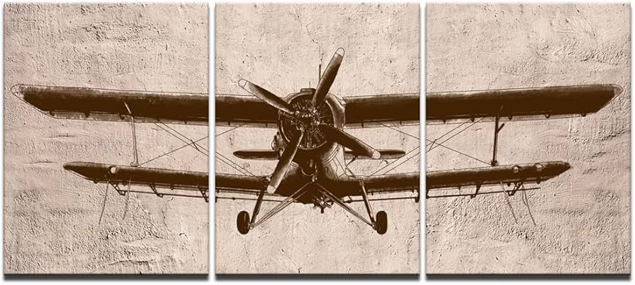 LevvArts - Airplane Canvas Wall Art Vintage Aviation Art Painting for Home Bedroom Decor Framed R... | Amazon (US)