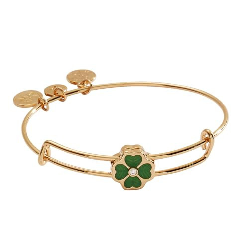 Alex and Ani Four-Leaf Clover Slider Charm Bangle | Amazon (US)