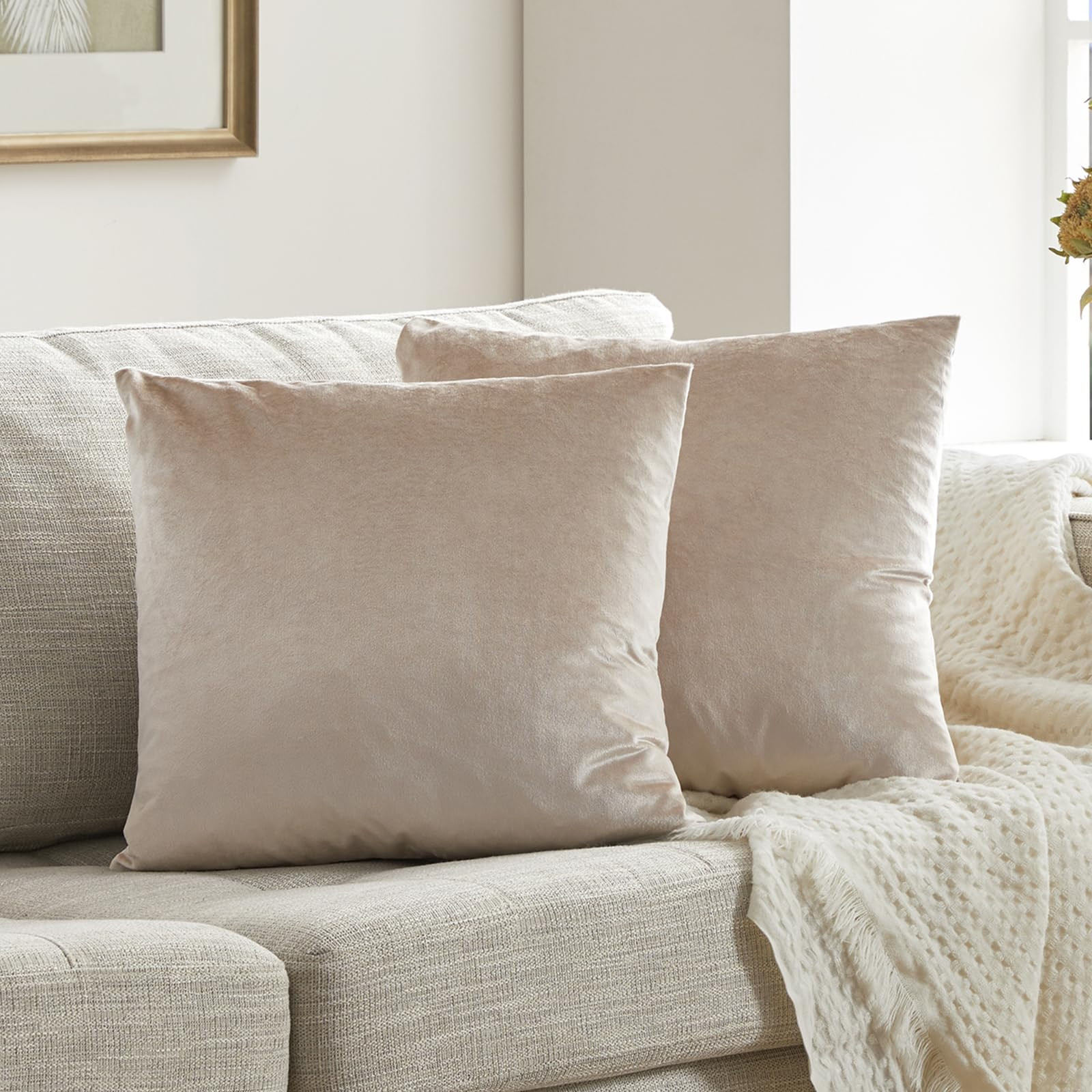 GIGIZAZA Velvet Throw Pillow Covers 18x18,Pack of 2 Champagne Beige Modern Pillow Covers Square S... | Amazon (US)