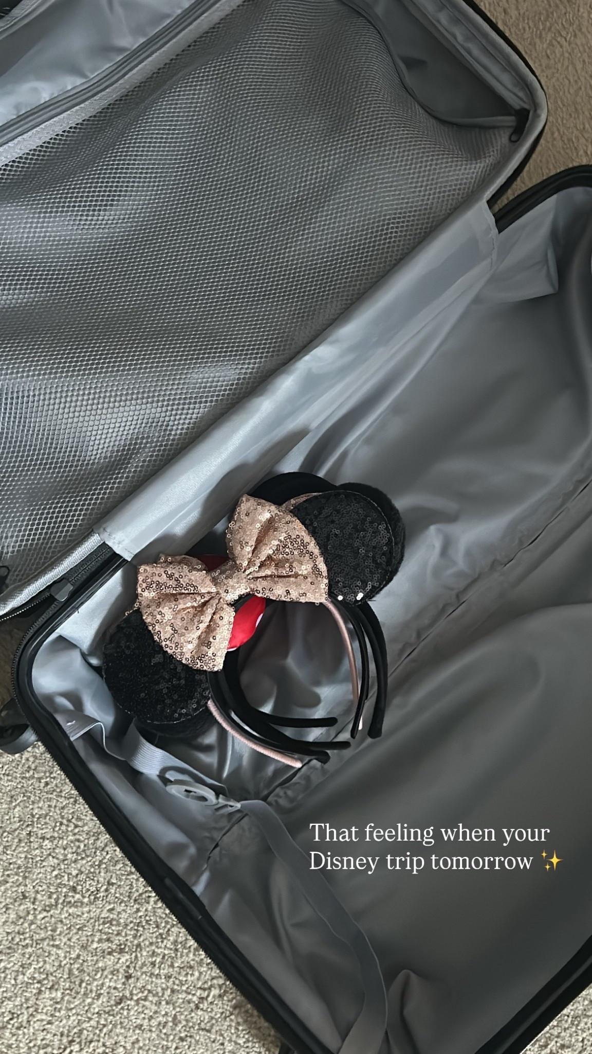 We gifted the girls these medium
hard side suitcases for Christmas and I liked it so much that I just grabbed another for myself. Perfect size for a roadtrip! 

#LTKTravel #LTKHome