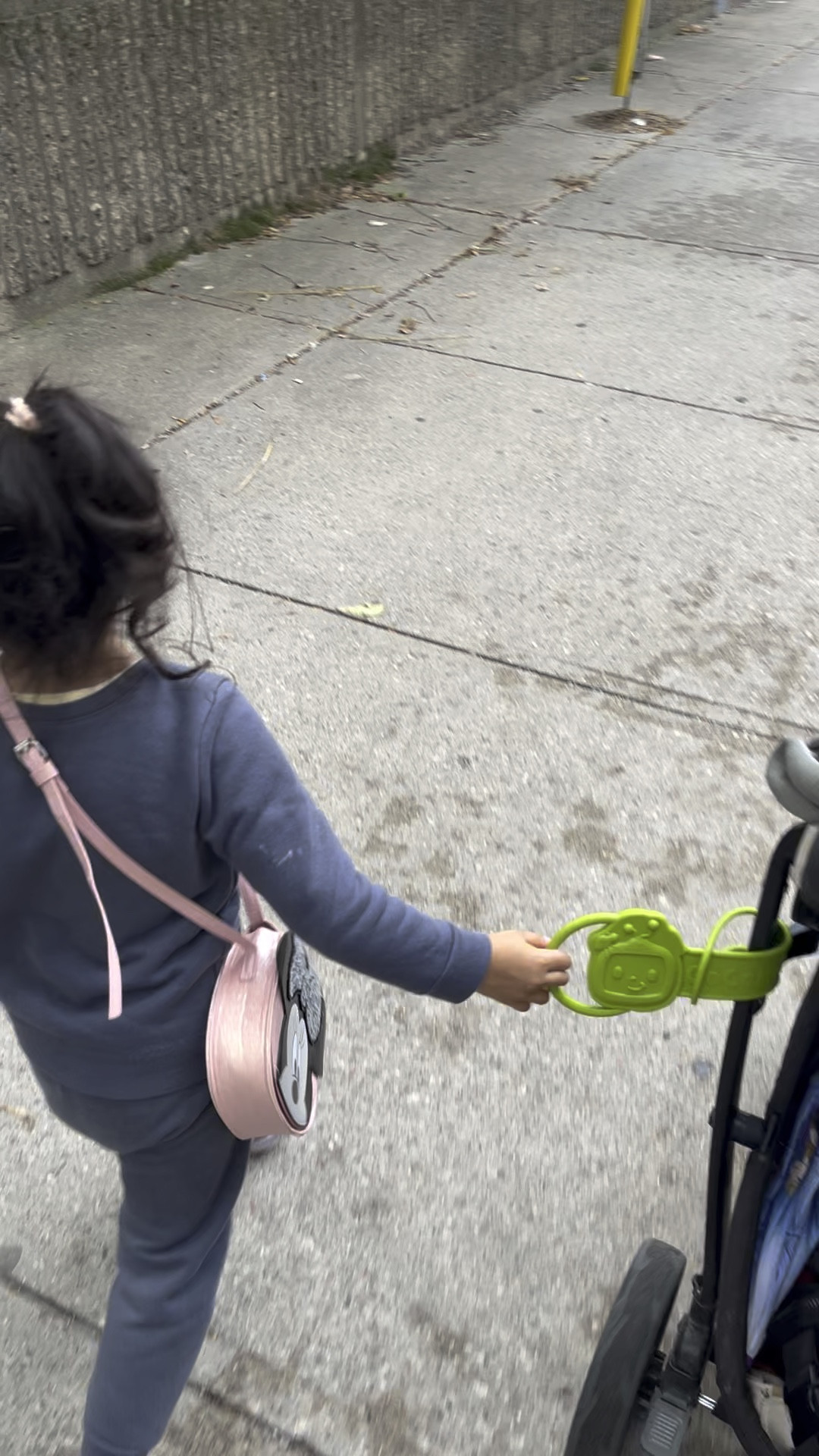 Stroller accessory, stroller tag, toddler accessory, travel accessory, toddler travel accessory, Cocomelon tag, Cocomelon stroller tag

#LTKFindsUnder50 #LTKTravel #LTKKids