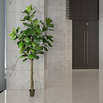 Vickerman Everyday Faux Fiddle Leaf Fig Tree 8ft Tall Green Silk Artificial Indoor Fiddle Plant with | Amazon (US)