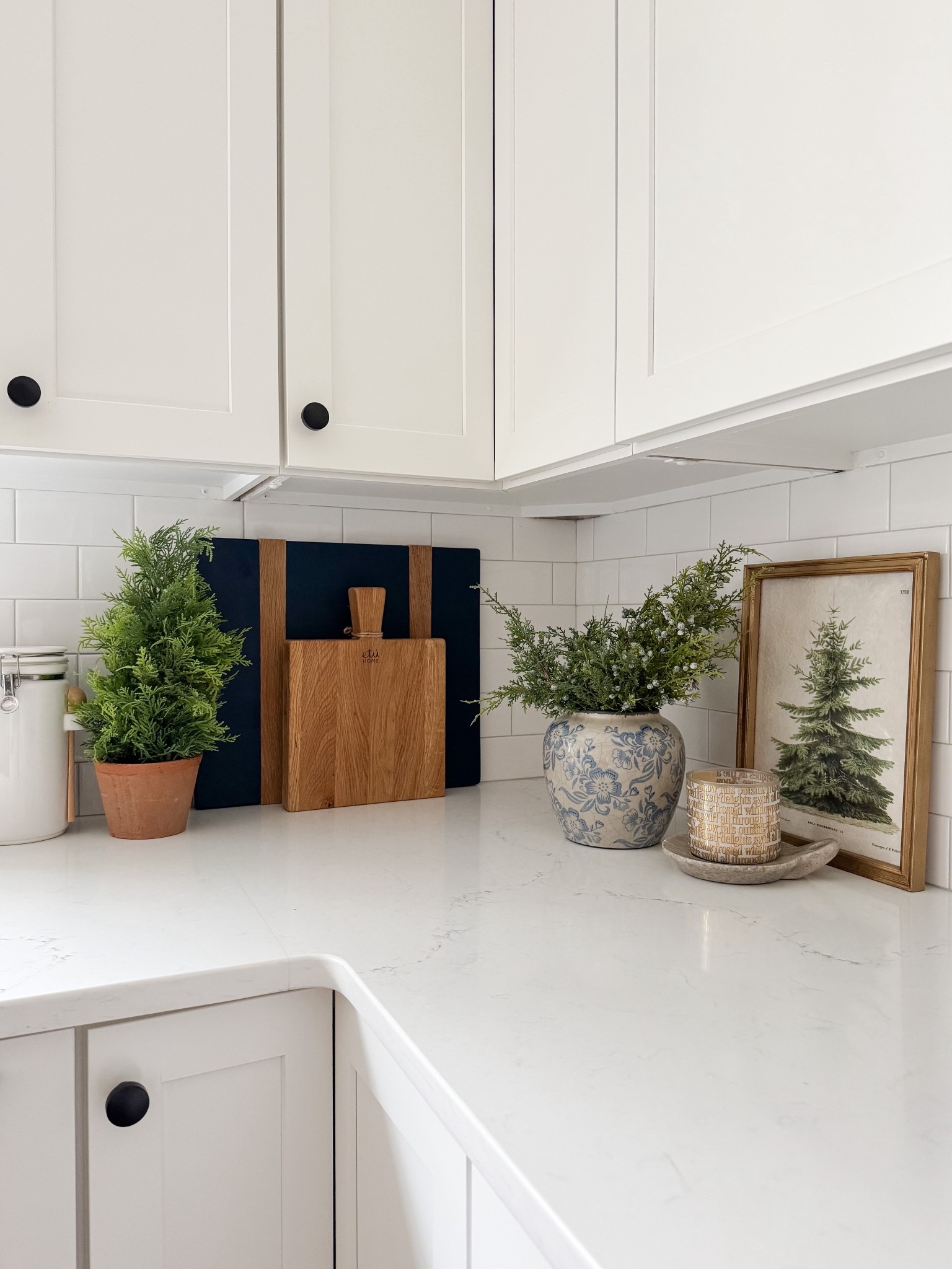 Coastal holiday Kitchen Faves

Amazon coastal kitchen  coastal kitchen faves  home decor  trending home decor  sherricalnanhome 

#LTKHoliday #LTKHome #LTKFindsUnder50