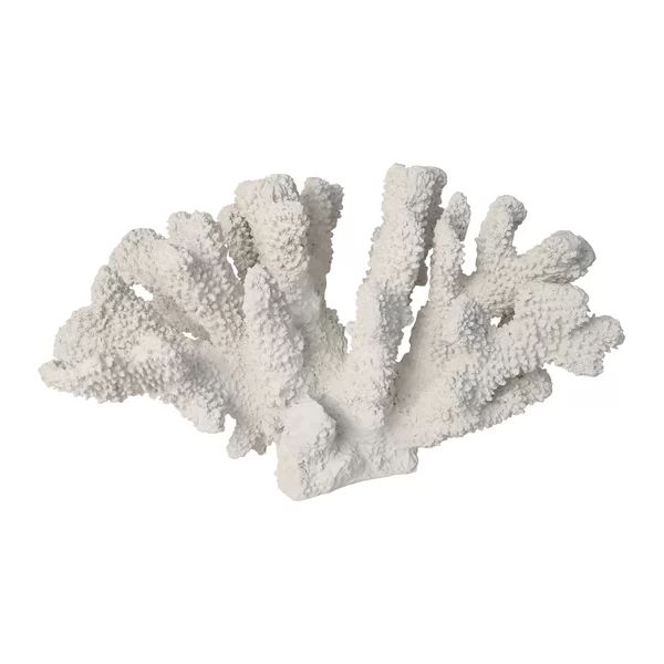 Marconi Coral Sculpture | Wayfair North America