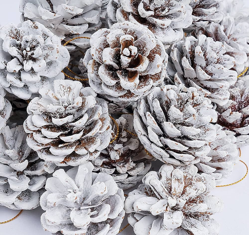 Anstore Lot de 42 pommes de pin blanches - 4-6 cm - Pommes de pin décoratives - Avec ficelle - D... | Amazon (FR)
