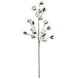 Set of 3 Rustic Cotton Stems with 15-18 Cotton Bolls per Stem and 30-31 inches Tall Farmhouse Style | Amazon (US)