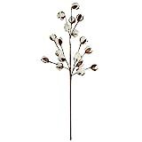 Set of 3 Rustic Cotton Stems with 15-18 Cotton Bolls per Stem and 30-31 inches Tall Farmhouse Style | Amazon (US)