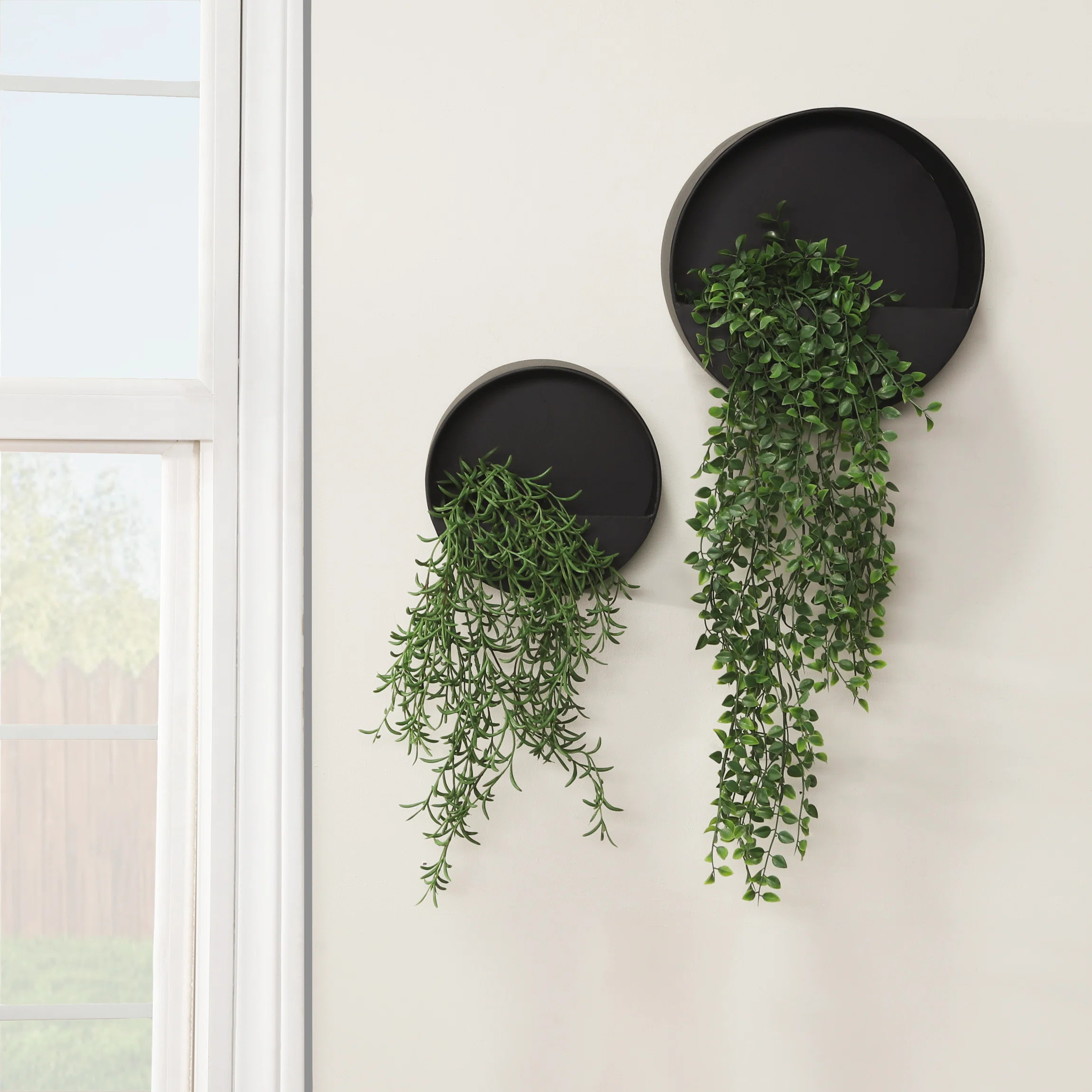 Narinder Black Metal Wall Planter Set of 2 - Round Iron Hanging Planters for Indoor & Outdoor Dec... | Wayfair North America