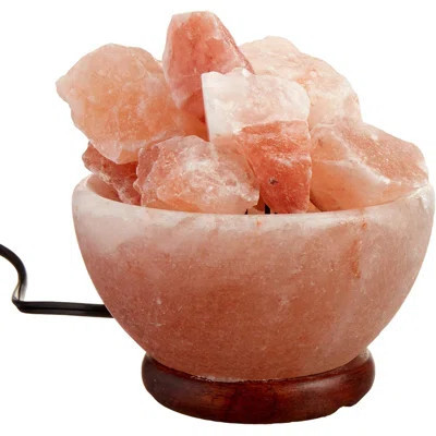 Himalayan Crystal Salt Lamp Abundance Bowl Salt Lamp With Cord By Black Tai Salt Co. | Wayfair North America