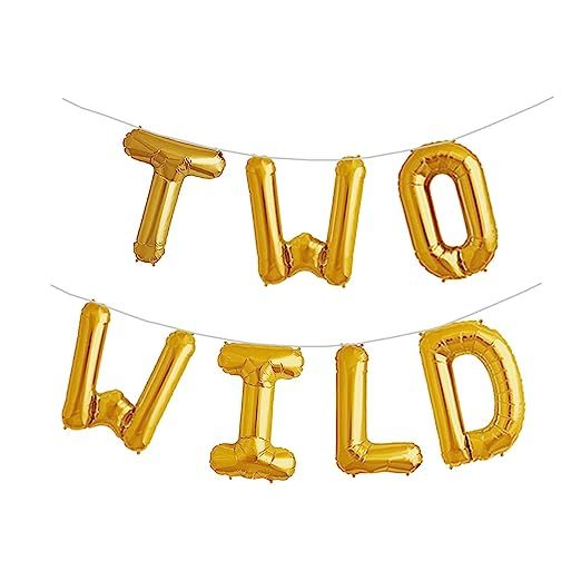 Two Wild 16 inch Foil Balloons 2nd Birthday Balloon Backdrop Banner for Boy or Girl Jungle Dinosa... | Amazon (US)