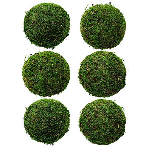 Natural Green Moss Decorative Ball 3.5" Set of 6, Hanging Balls with Handmade, Hanging Balls Vase Bowl Filler, Christmas Tree Garden Weddings Home Party Decor | Amazon (US)