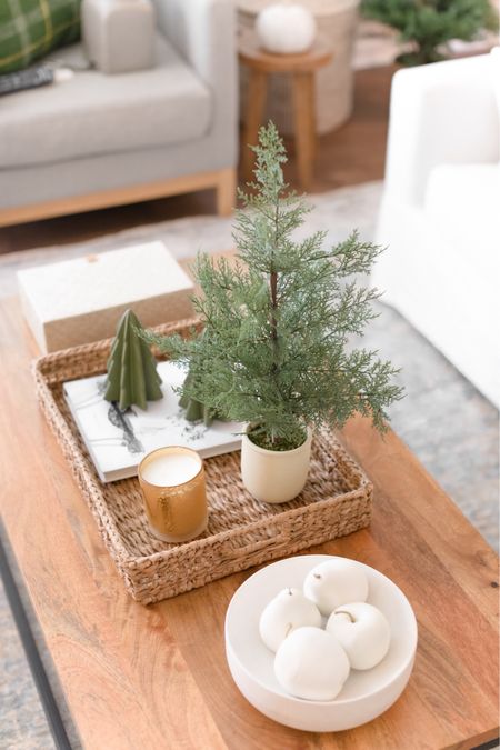 Coffee table styling for your living room! I love this beautiful coffee table for your living room or family room!

#LTKfindsunder100 #LTKCyberWeek #LTKhome