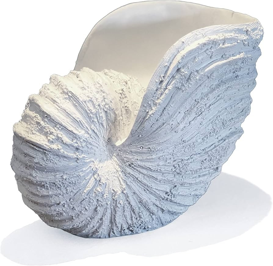 Nautilus Shell Sculpture - Replica Beach Themed Ocean Decor for Home - Rustic White Resin 10\u00b... | Amazon (US)