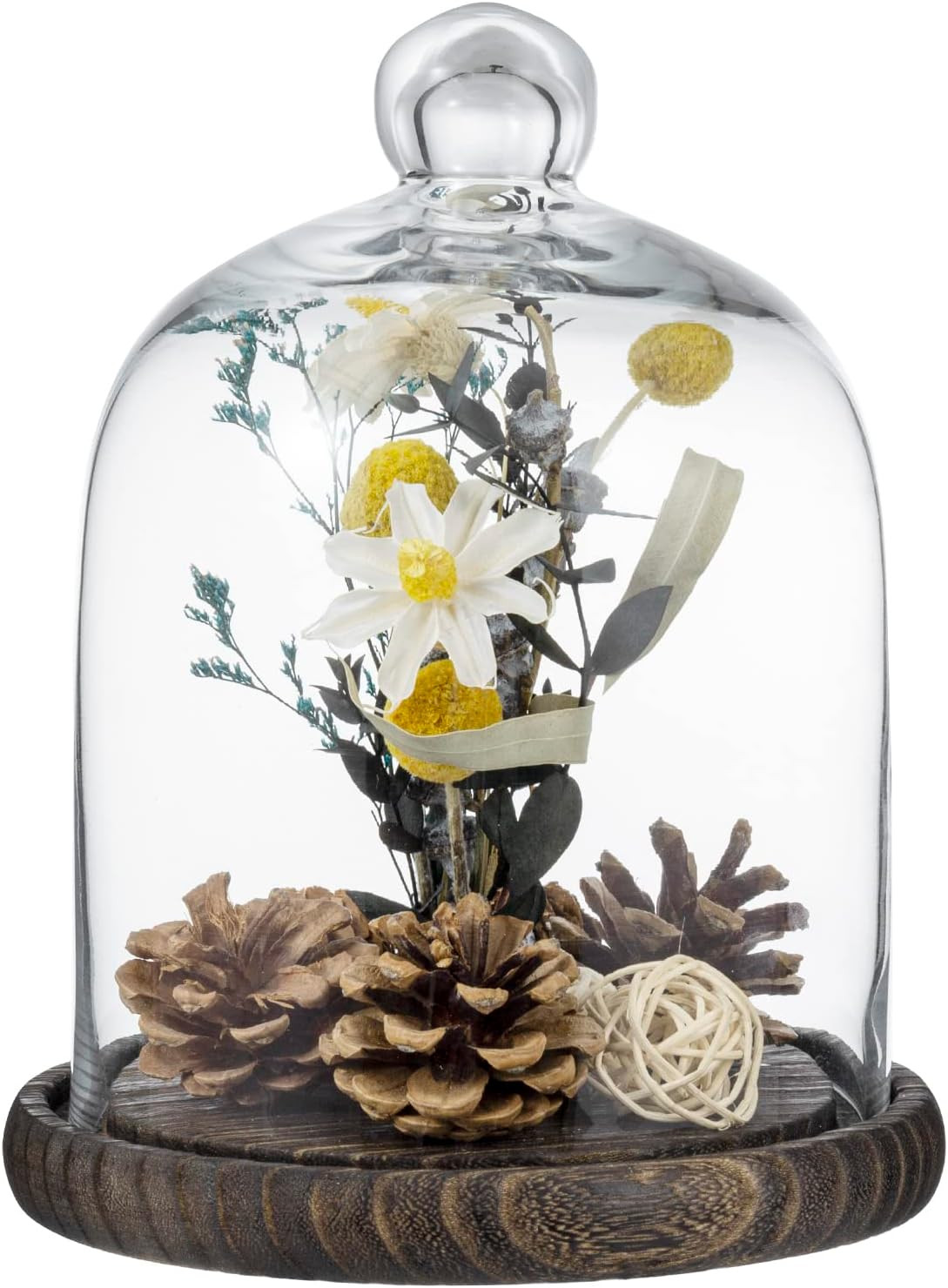 MyGift Clear Cloche Glass Dome,9 Inch Display Bell Jar with Top Handle and Rustic Brown Solid Woo... | Amazon (US)