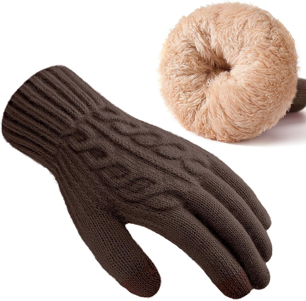 Pleneal Womens Winter Gloves - Gloves for Women Cold Weather, Womens Warm Fleece Lined Touch Scre... | Amazon (US)