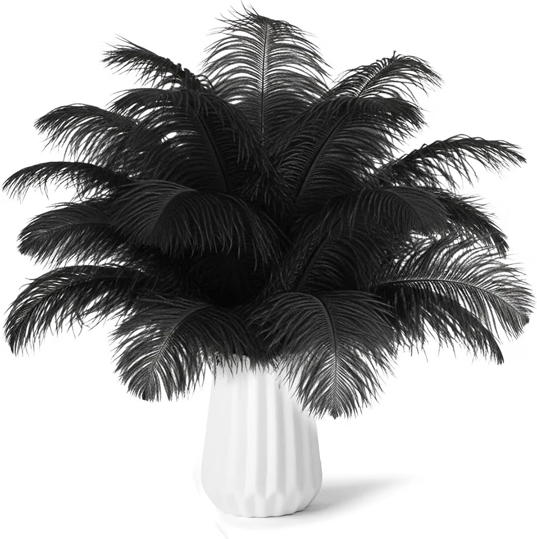 30pcs Black Ostrich Feathers Natural Bulk 8-10inch(20-25cm) Vase Craft Wedding Home Party Centerp... | Amazon (US)