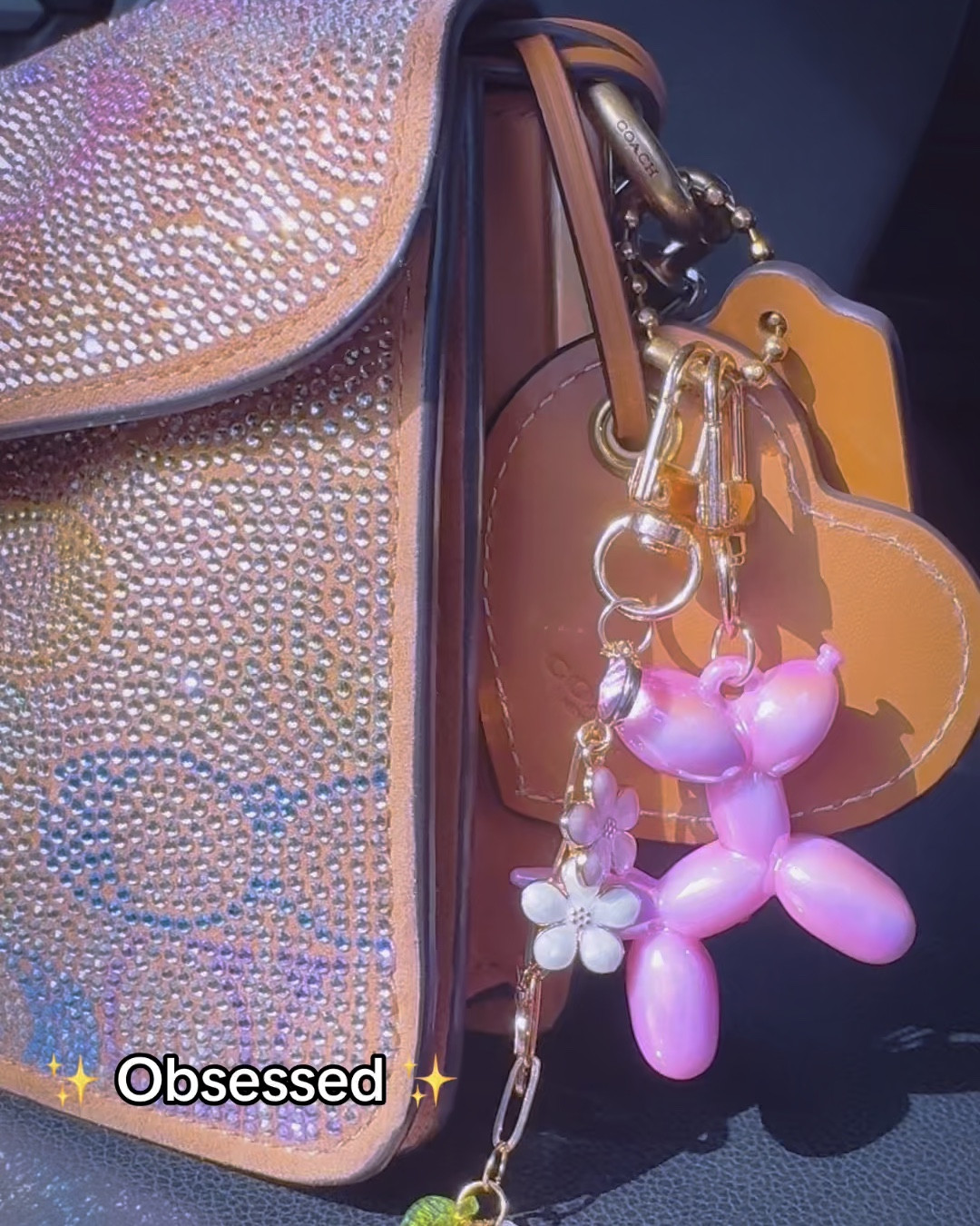 Obsessed with the new Coach Crystal tabby 26. The perfect bag to add a little sparkle to my 2026. #LTKfashion #coachcrystalbag 

#LTKdayinmylife #LTKootd #LTKValentine