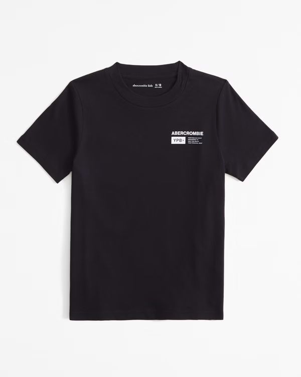 ypb graphic logo tee | Abercrombie & Fitch (US)