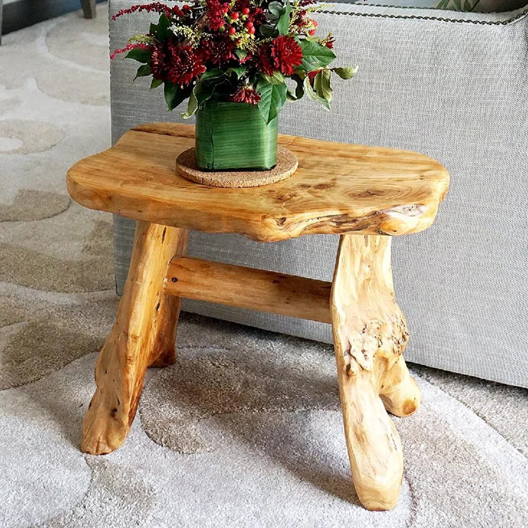 Dandir Solid Wood Tree Stump End Table | Wayfair Professional