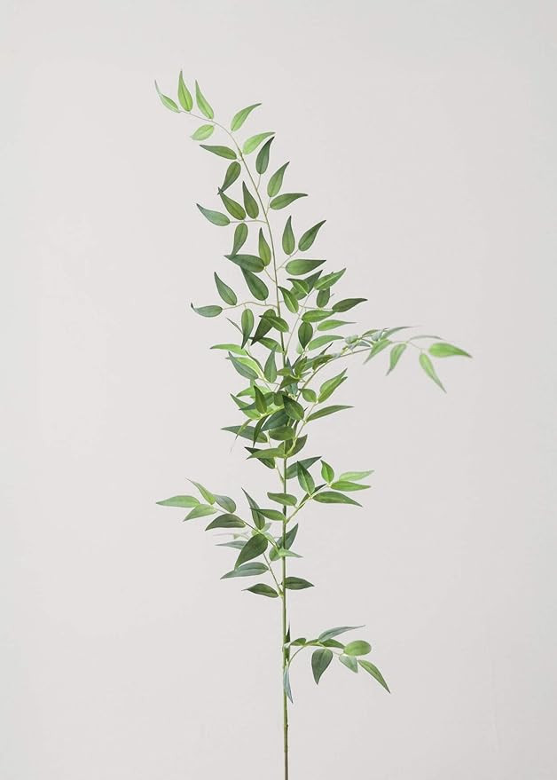 Afloral Fake Plants Italian Ruscus Branch - 49" | Amazon (US)