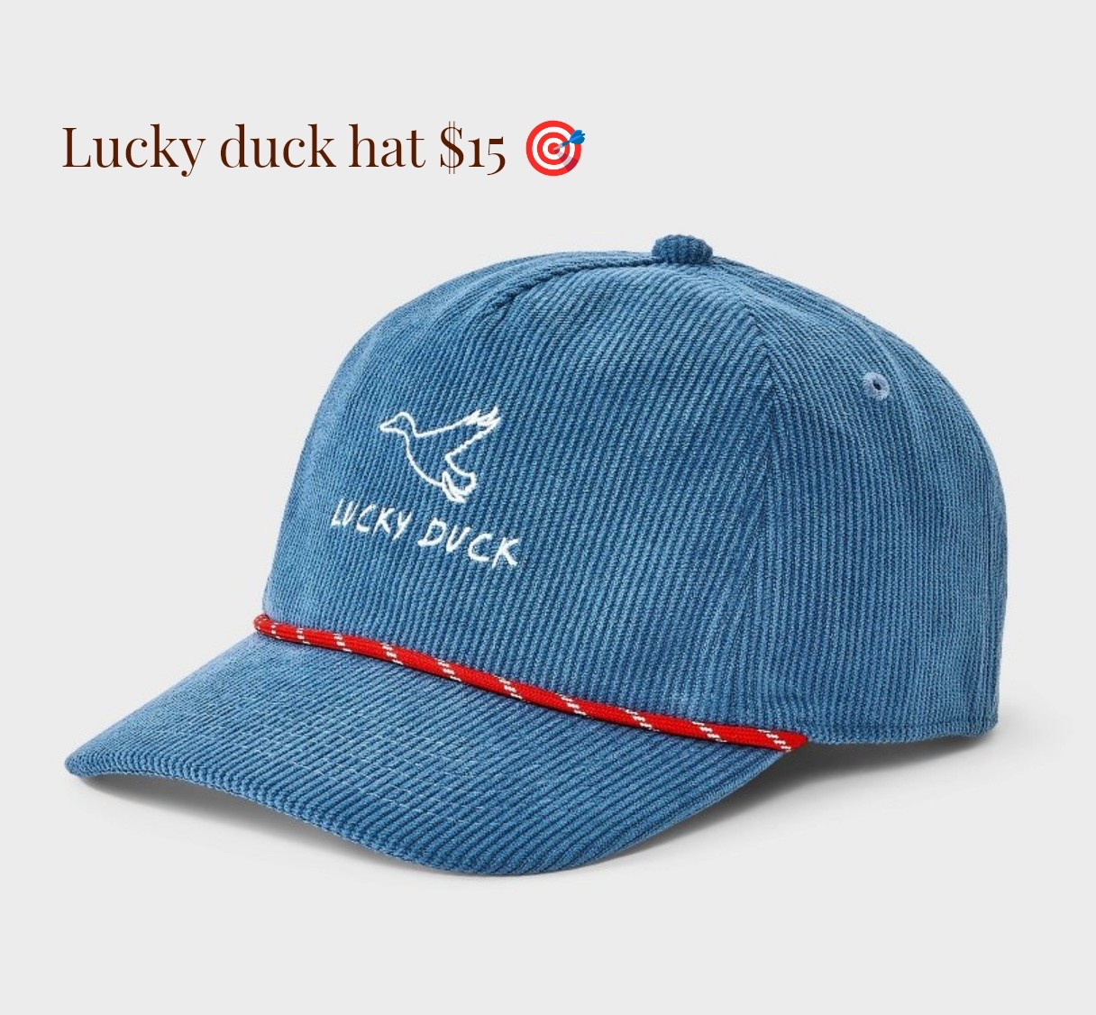 Lucky duck hat only $15 @Target 🎯 #targetfind #targetstyle #luckyduck 

#LTKmomlife #LTKMens #LTKootd