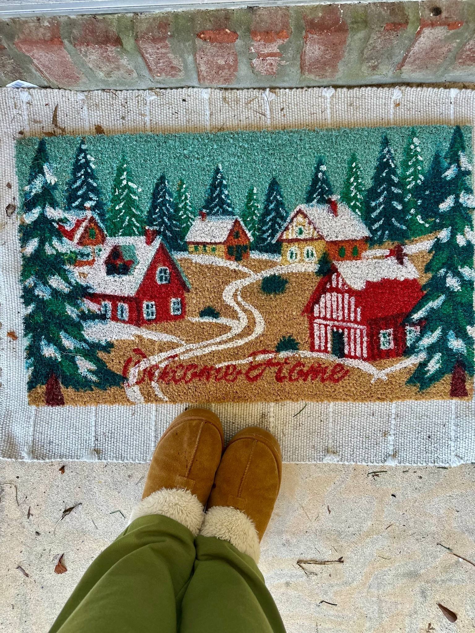 A little holiday magic for the front porch ✨🎄
This adorable Walmart Christmas doormat feels so nostalgic — snowy cottages, twinkle-light vibes, and the sweetest “welcome home” moment.
Linked it below before it sells out!
#WalmartHome #ChristmasDecor #HolidayFrontPorch #LTKhome #SandeelBooth


#LTKmomlife #LTKGiftGuide #LTKHoliday