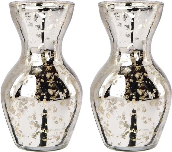 2 PACK  Mini Vintage Mercury Glass Vase 4.5-inch Adelaide | Etsy | Etsy (US)